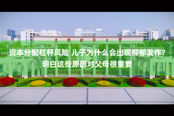 资本分配杠杆风险 儿子为什么会出现抑郁发作？明白这些原因对父母很重要