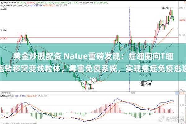 黄金炒股配资 Natue重磅发现：癌细胞向T细胞转移突变线粒体，毒害免疫系统，实现癌症免疫逃逸