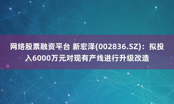 网络股票融资平台 新宏泽(002836.SZ)：拟投入6000万元对现有产线进行升级改造