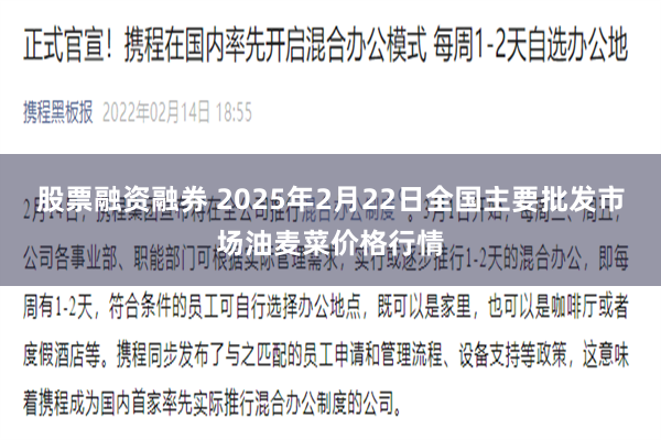 股票融资融券 2025年2月22日全国主要批发市场油麦菜价格行情