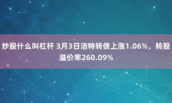 炒股什么叫杠杆 3月3日洁特转债上涨1.06%，转股溢价率260.09%