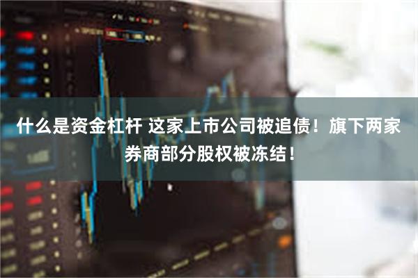 什么是资金杠杆 这家上市公司被追债！旗下两家券商部分股权被冻结！